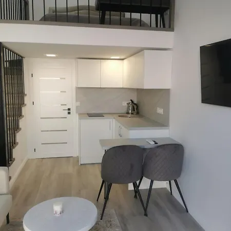 Loft Diana Apartment Palanga