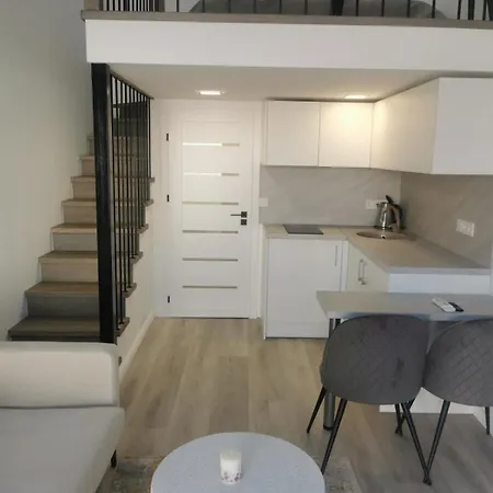 Apartment Loft Diana *